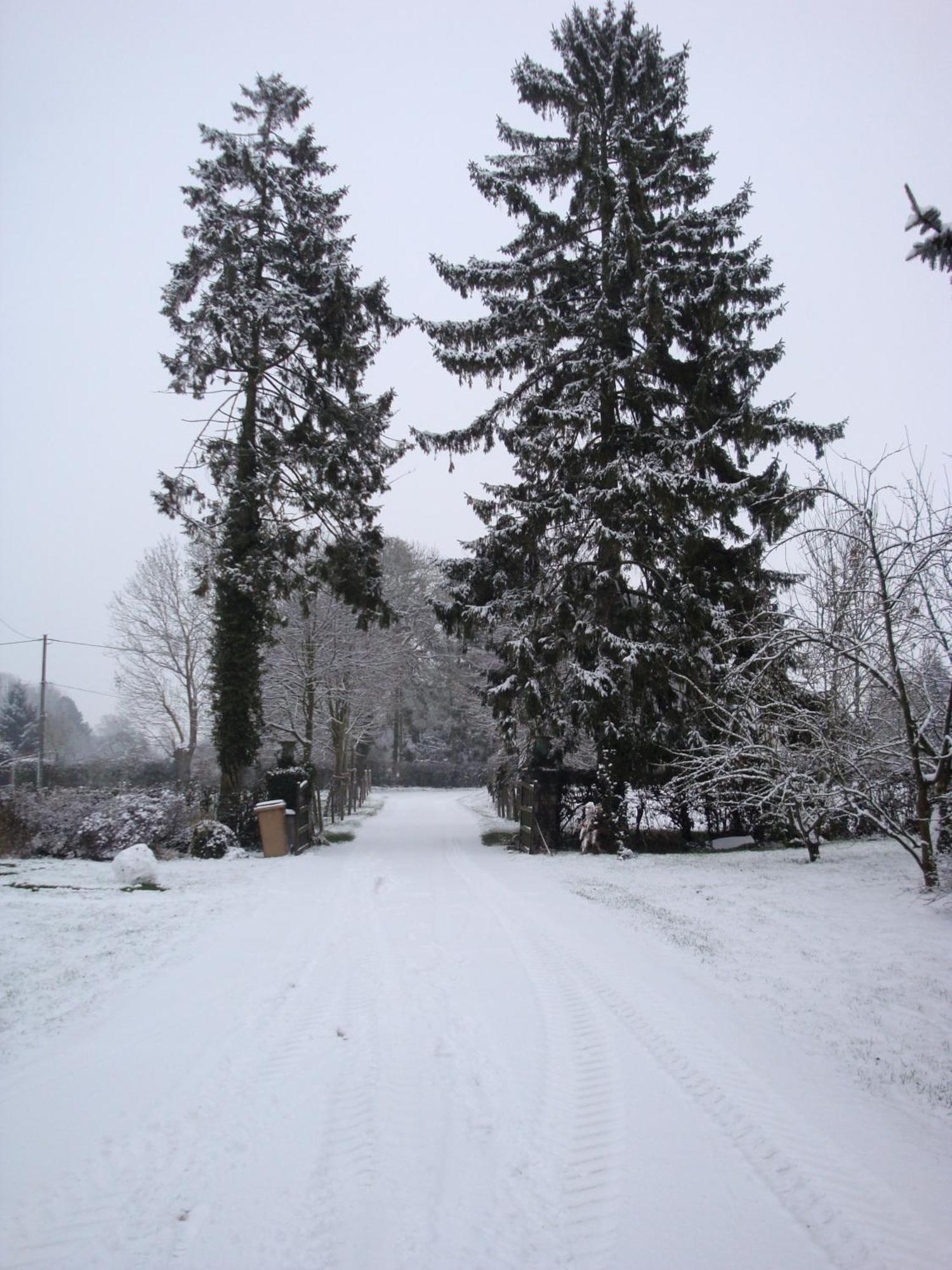 Fleury-la-Forêt Ferme De La Cacheterie, Bed & Breakfast エクステリア 写真